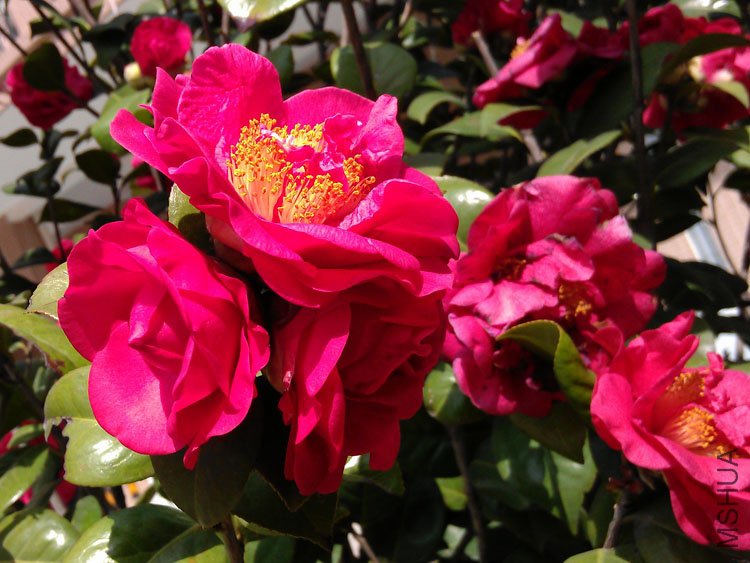 IMAG0349.jpg
