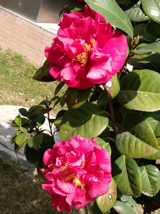 IMAG0353.jpg