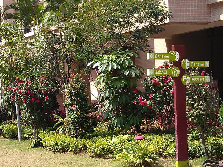 IMAG0350.jpg