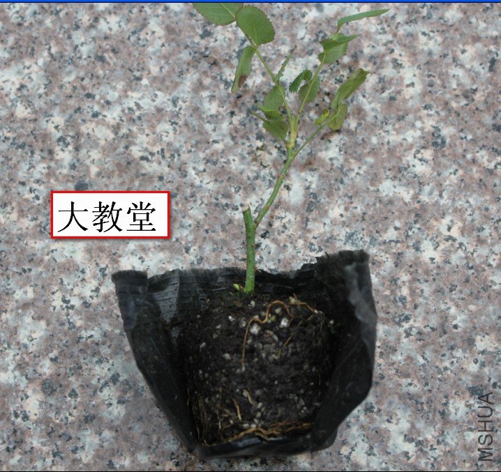 2012-02-15_125017.jpg