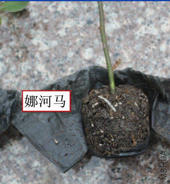 2012-02-15_130659.jpg