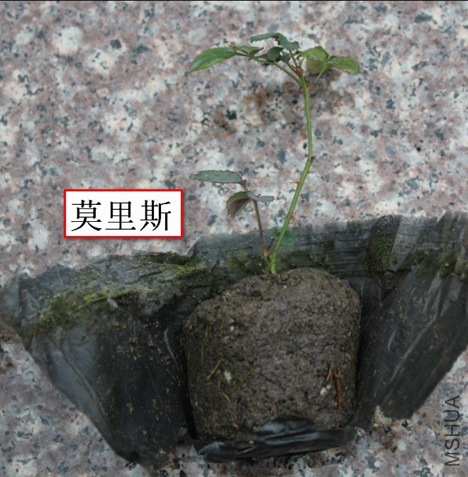2012-02-15_145908.jpg