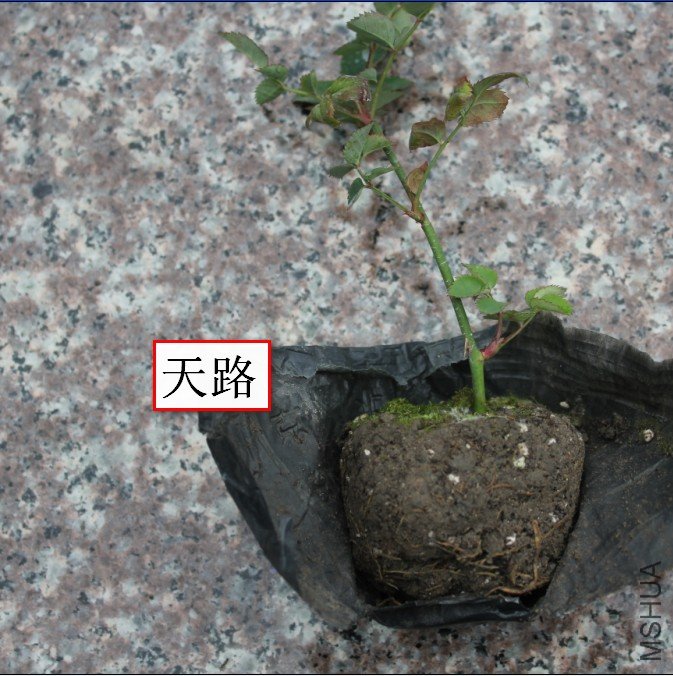 2012-02-15_145950.jpg