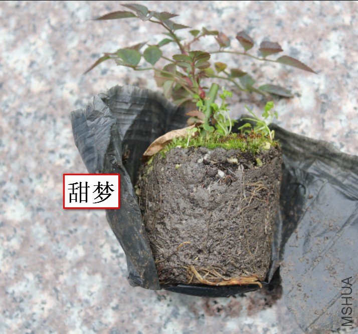 2012-02-15_151041.jpg