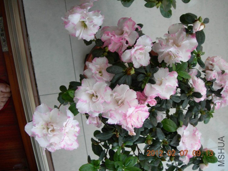 DSCN0790.JPG