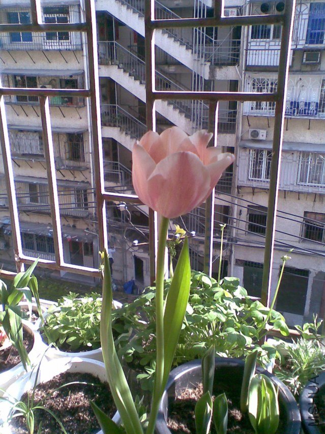 ͼ��159.jpg