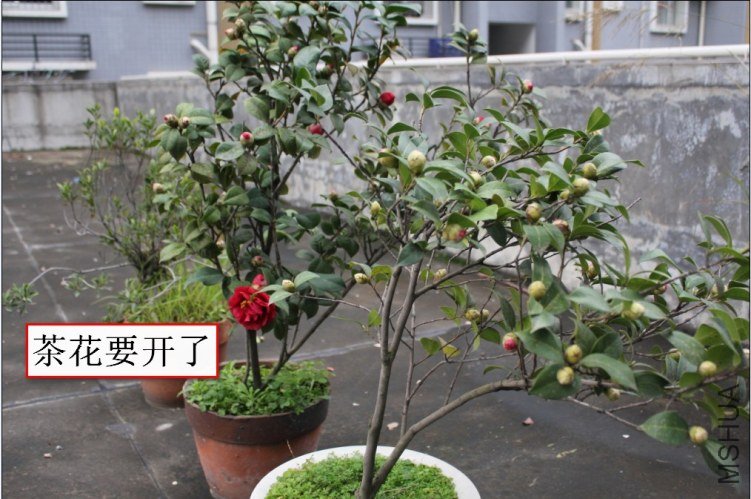 2012-02-16_170008.jpg