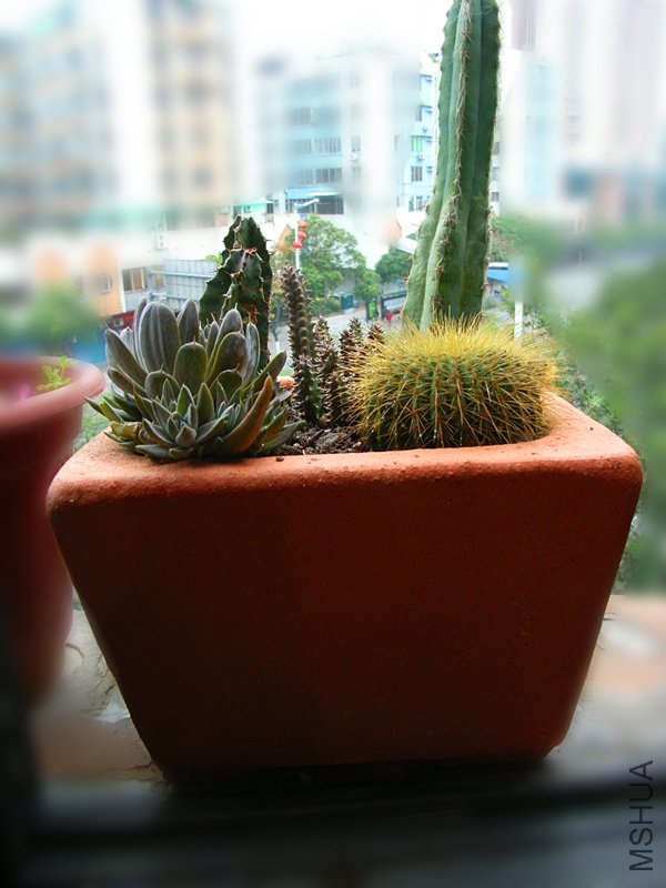 RIMG0610_����.jpg