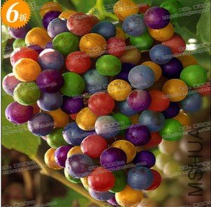 QQ��ͼ20120217003333.jpg