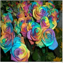 QQ��ͼ20120217003424.jpg