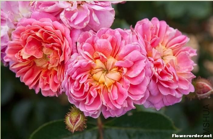 ���أ�TREASURE TRAIL��.jpg