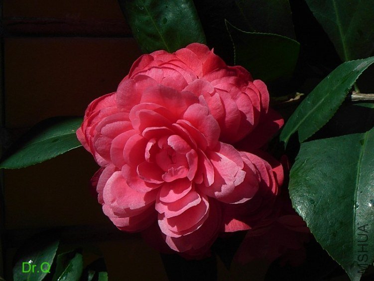0217-a.JPG