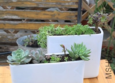 1.24 ��ɫ����.jpg