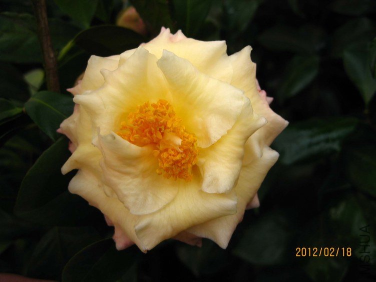 ������2012-2-18.jpg