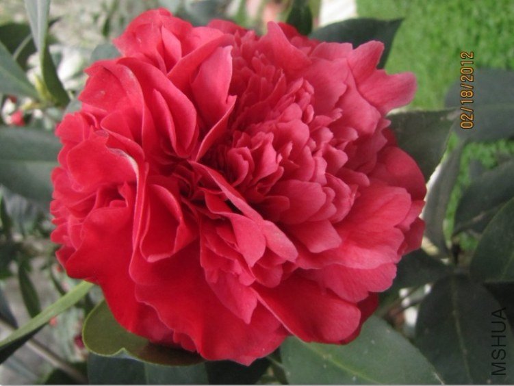 δ����2012.02.18-15.jpg