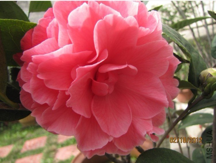 δ����2012.02.18-08.jpg