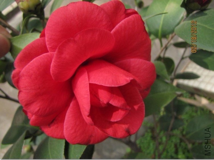 δ����2012.02.18-07.jpg