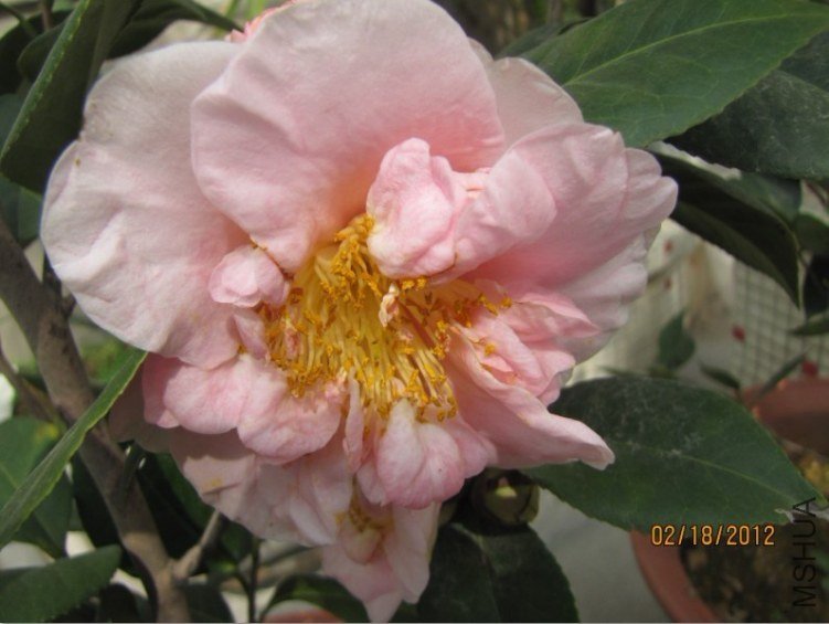 δ����2012.02.18-06.jpg