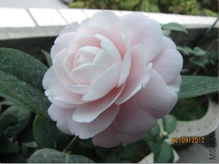 δ����2012.02.18-01.jpg