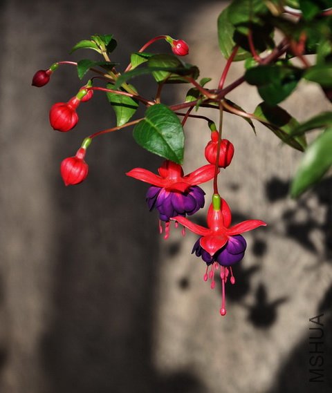 DSC_0328.jpg