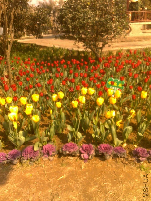 20120219295.jpg