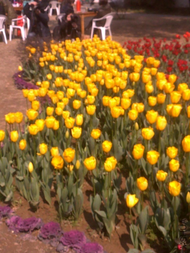 20120219300.jpg