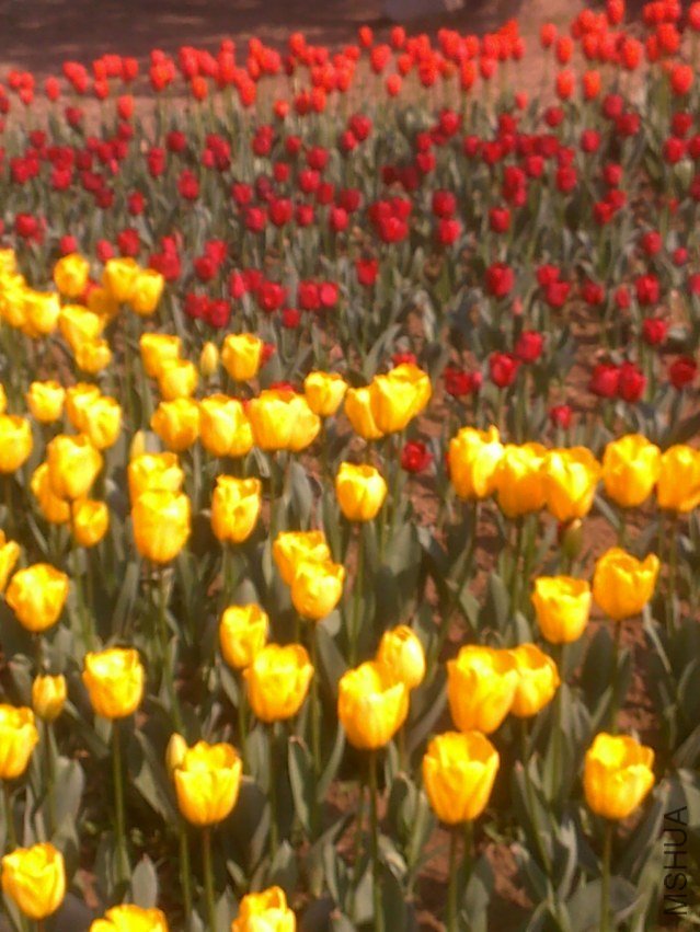 20120219301.jpg