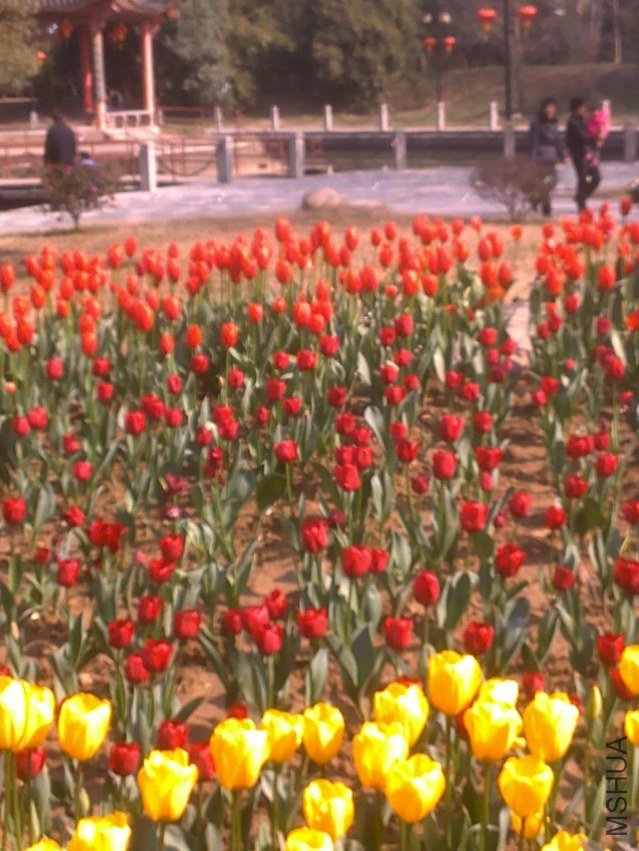20120219302.jpg