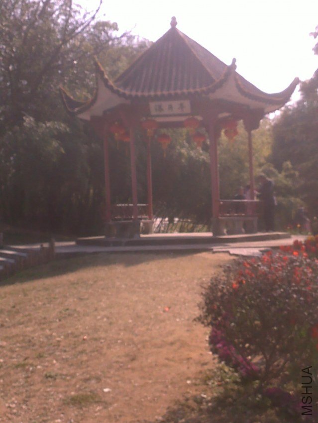 20120219303.jpg