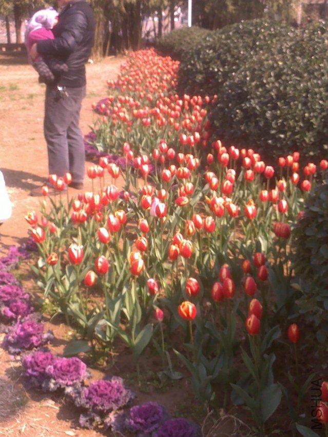 20120219306.jpg