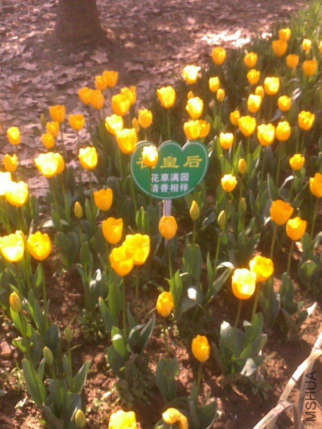 20120219307.jpg