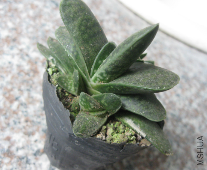 QQ��ͼ20120219155728.png