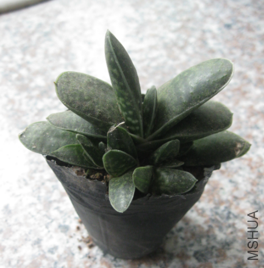 QQ��ͼ20120219155653.png