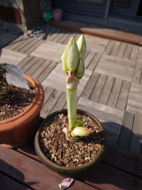 P1010545.jpg