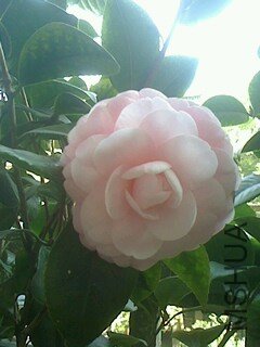 IMG1203094300.jpg