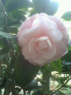 IMG1203094400.jpg