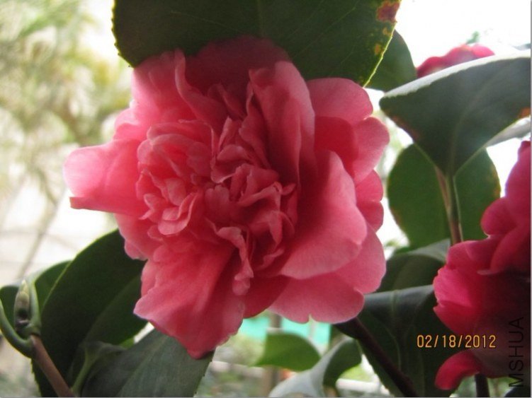 δ����2012.02.18-12.jpg