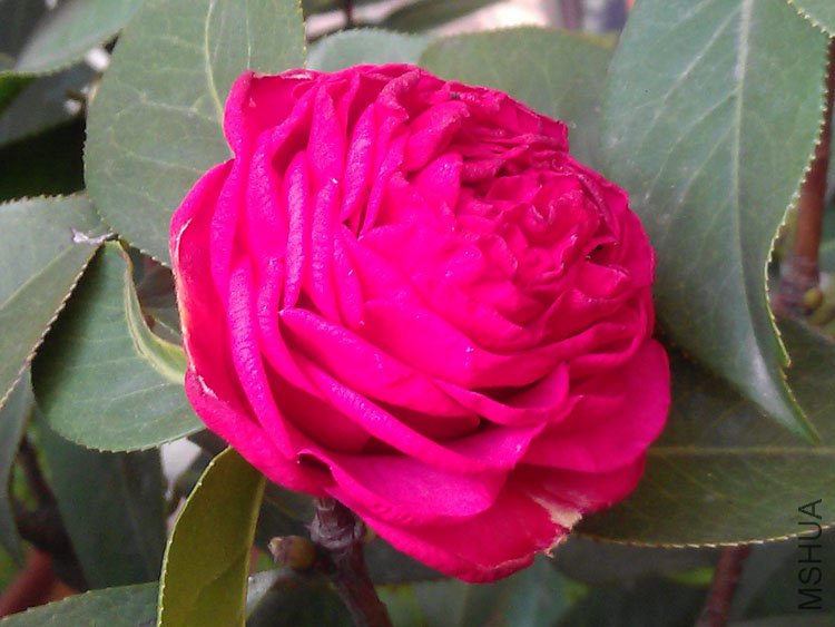 IMAG0404.jpg