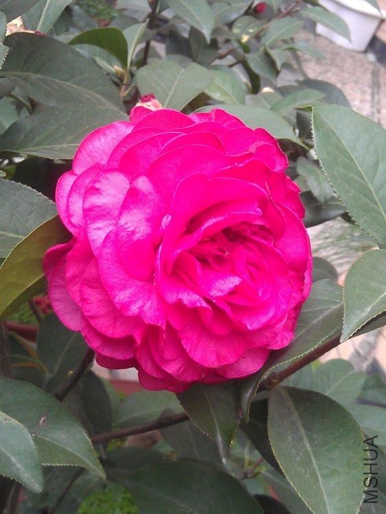 IMAG0417.jpg