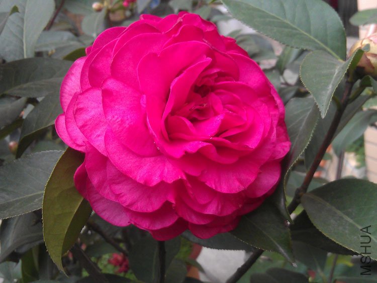IMAG0419.jpg