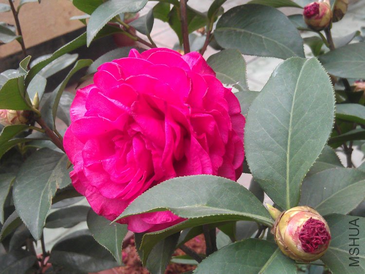 IMAG0422.jpg