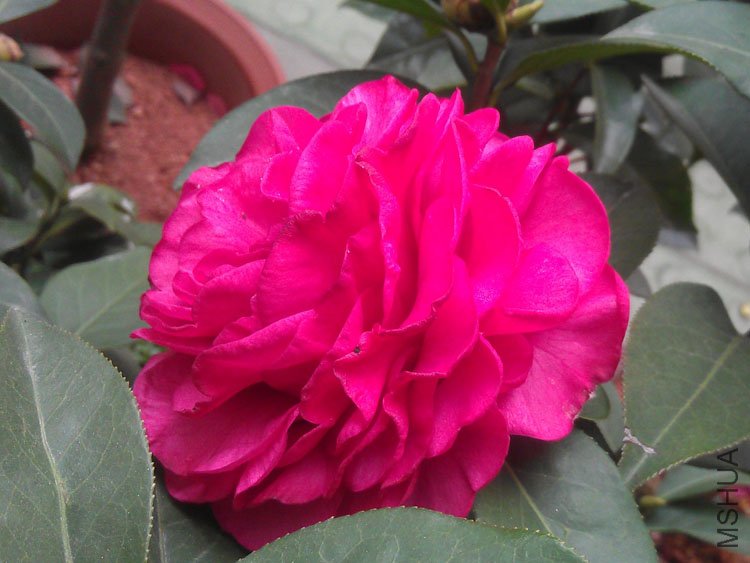 IMAG0423.jpg