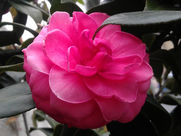 IMAG0443.jpg