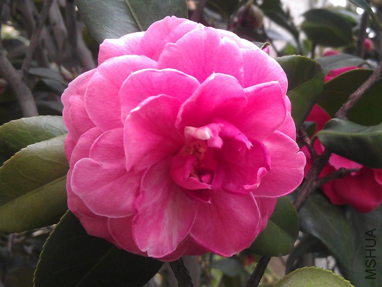 IMAG0442.jpg