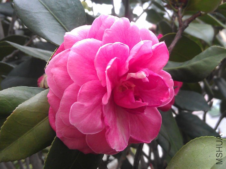 IMAG0441.jpg