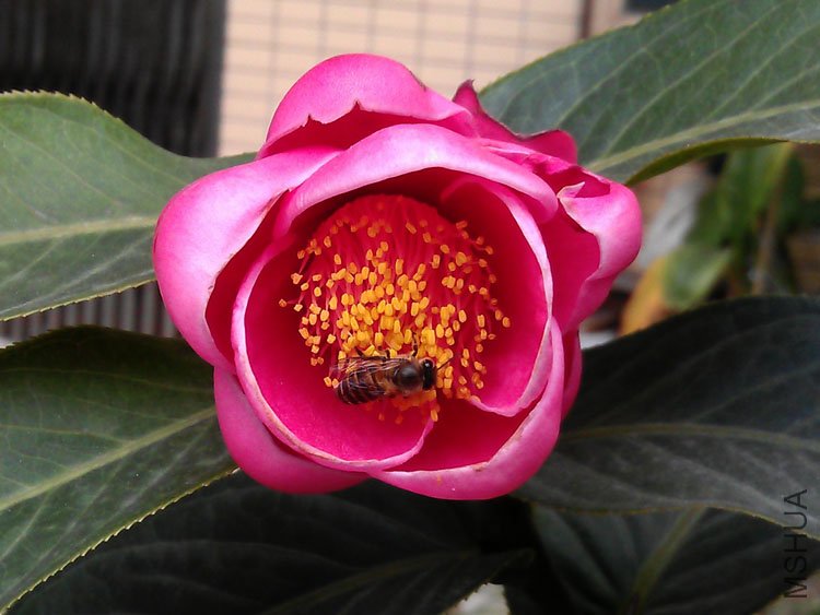 IMAG0384.jpg
