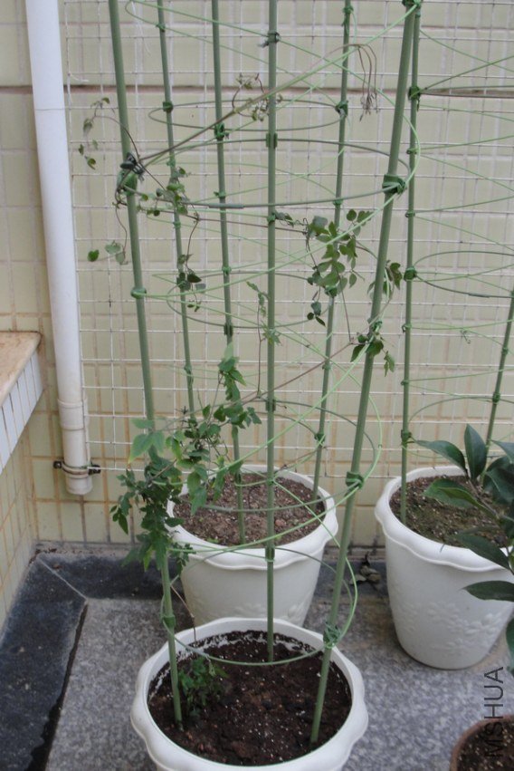 DSC01682-1.jpg