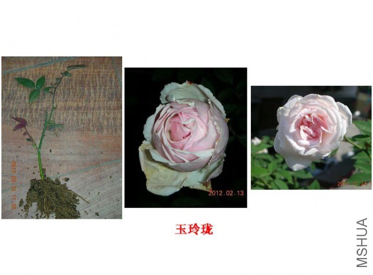 �������硢������.jpg