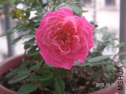 ÷�����ȷ���2 of ��Ұ.jpg