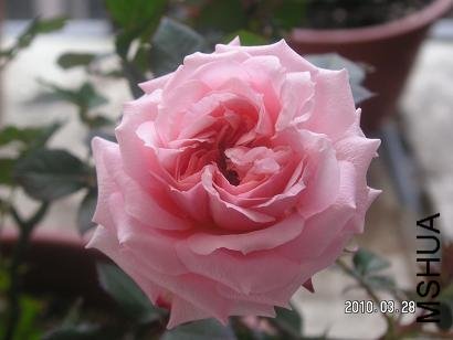 ÷�����ȷ��� of ��Ұ.jpg